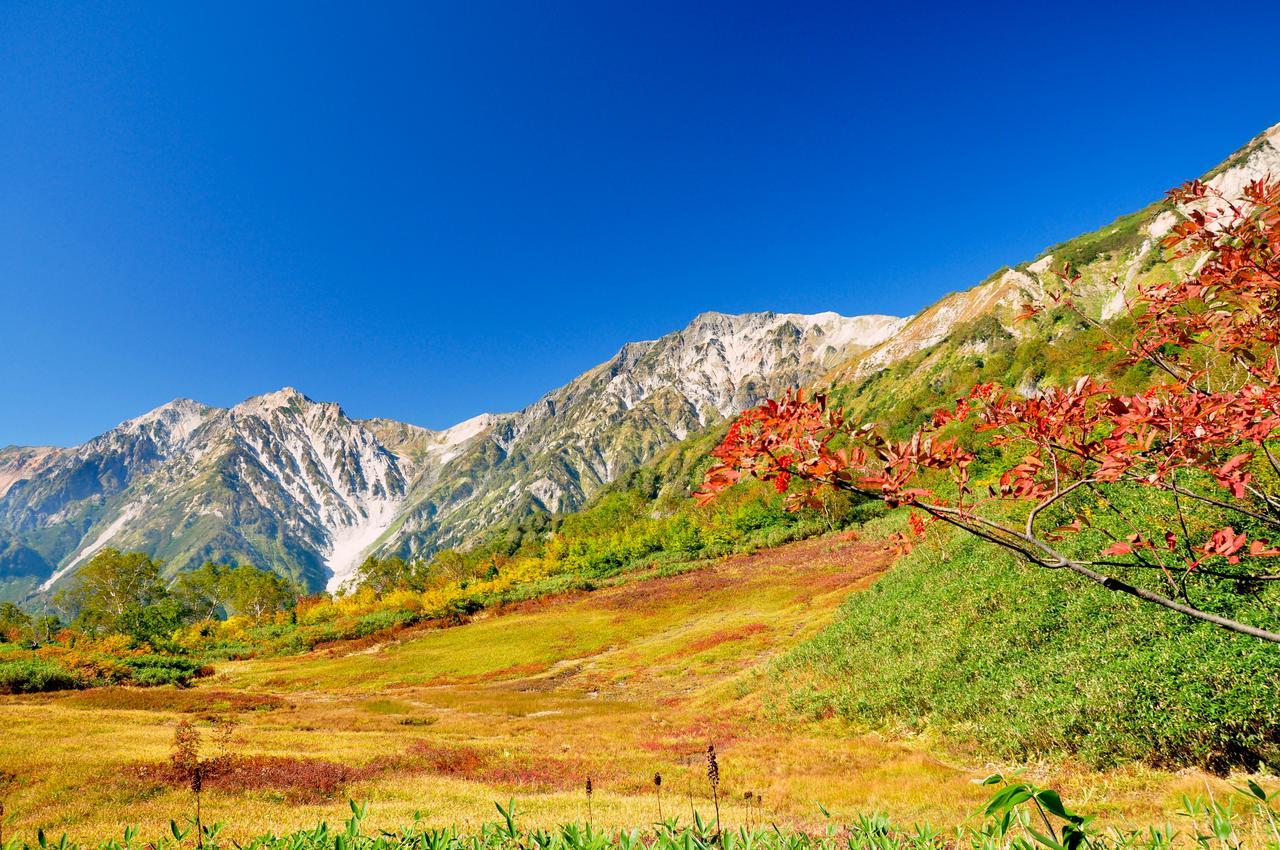 Hotel Hakuba Berghaus Otari Exterior foto